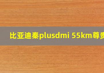 比亚迪秦plusdmi 55km尊贵型